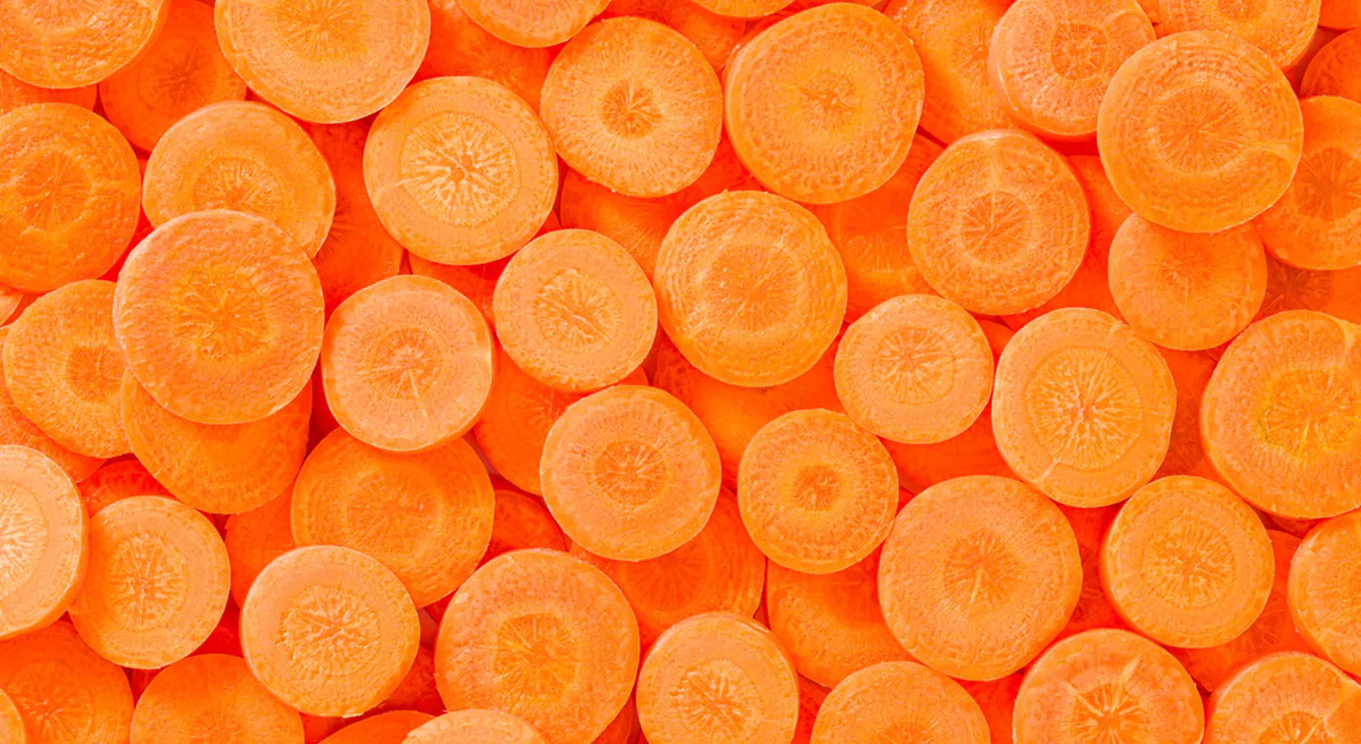 Kit So Bright So Carrot